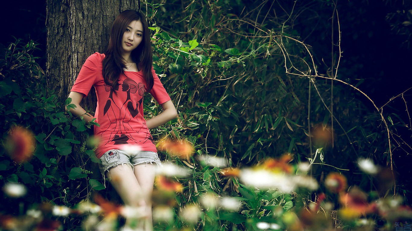 1366x768_1