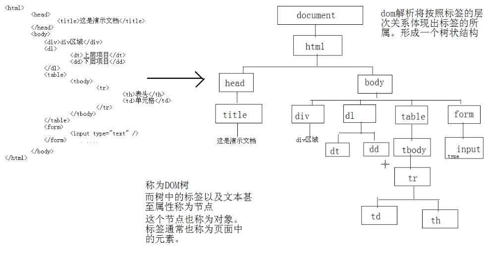 dom树