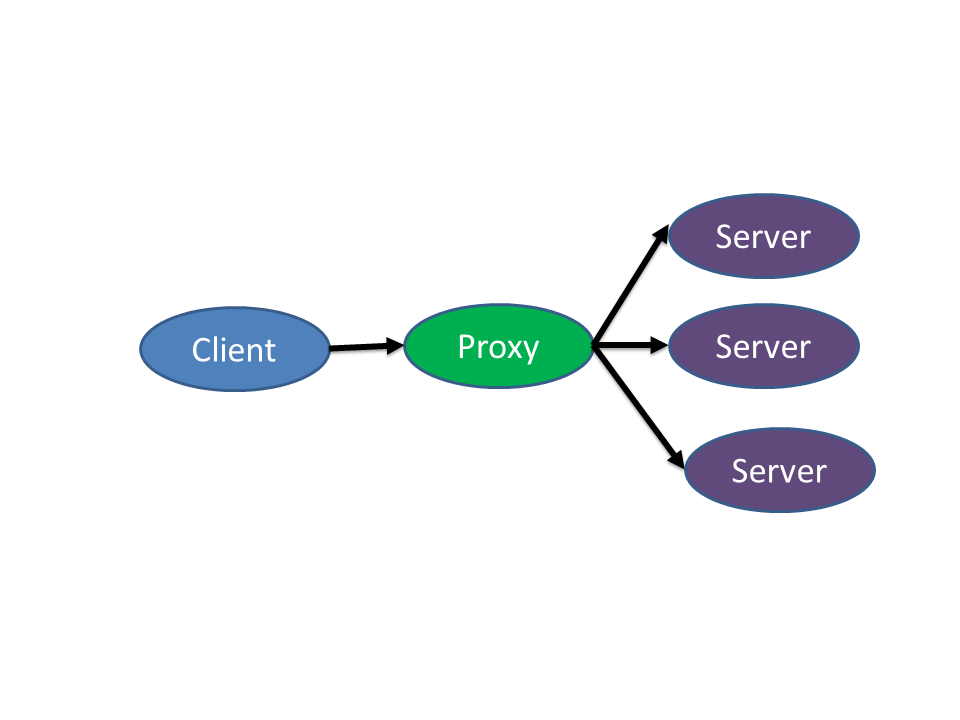 proxy